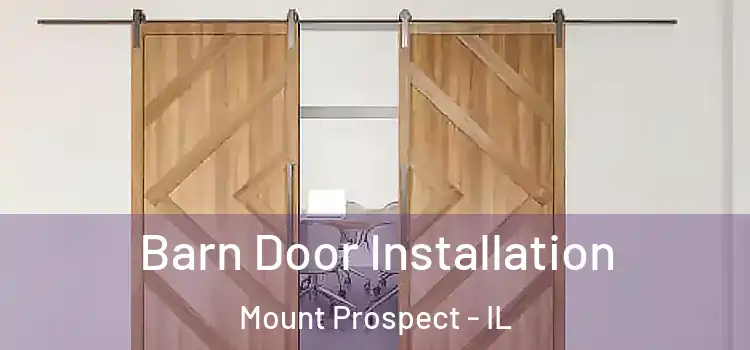 Barn Door Installation Mount Prospect - IL