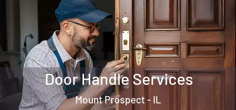 Door Handle Services Mount Prospect - IL