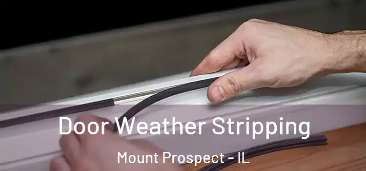  Door Weather Stripping Mount Prospect - IL