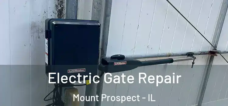  Electric Gate Repair Mount Prospect - IL