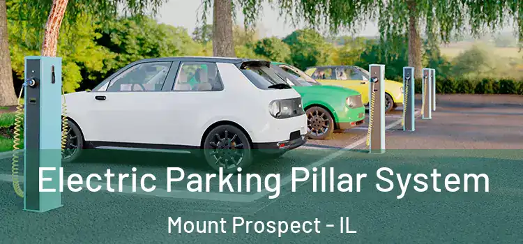  Electric Parking Pillar System Mount Prospect - IL