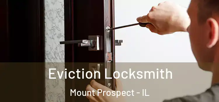  Eviction Locksmith Mount Prospect - IL