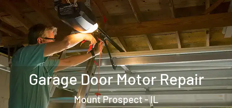  Garage Door Motor Repair Mount Prospect - IL