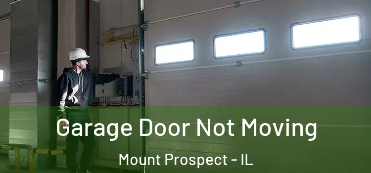 Garage Door Not Moving Mount Prospect - IL