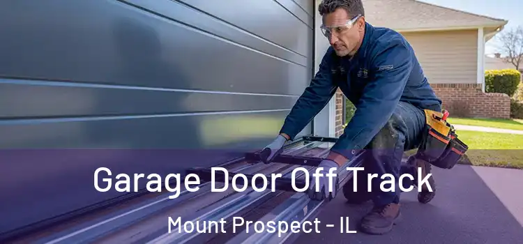  Garage Door Off Track Mount Prospect - IL