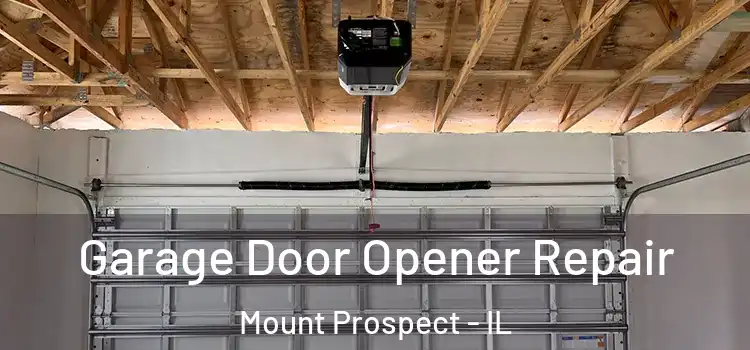  Garage Door Opener Repair Mount Prospect - IL