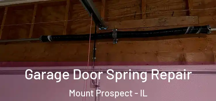  Garage Door Spring Repair Mount Prospect - IL