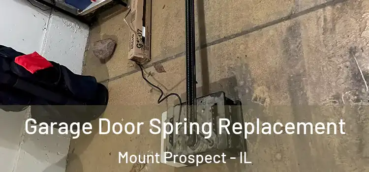  Garage Door Spring Replacement Mount Prospect - IL