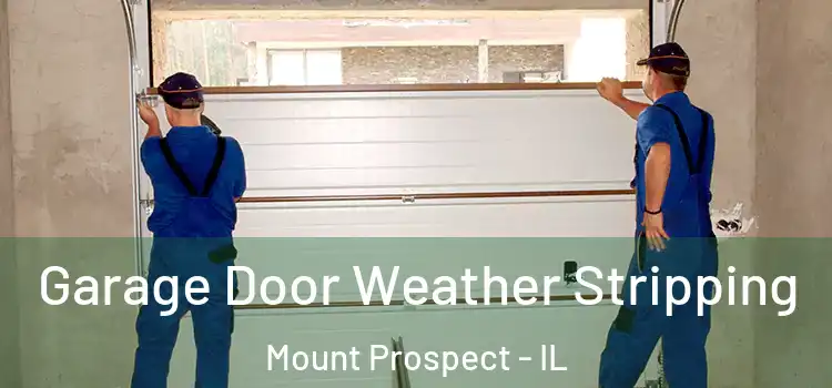  Garage Door Weather Stripping Mount Prospect - IL