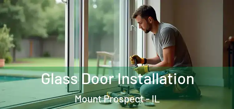 Glass Door Installation Mount Prospect - IL