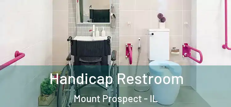  Handicap Restroom Mount Prospect - IL