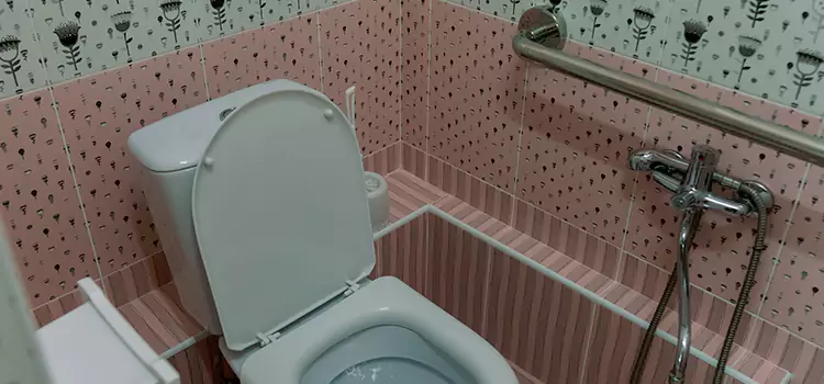 Meeting Diverse Needs With Accessible Restroom Solutions in Mount Prospect, IL