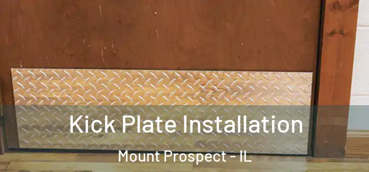 Kick Plate Installation Mount Prospect - IL