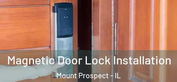  Magnetic Door Lock Installation Mount Prospect - IL