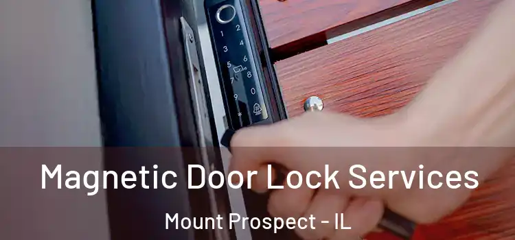Magnetic Door Lock Services Mount Prospect - IL