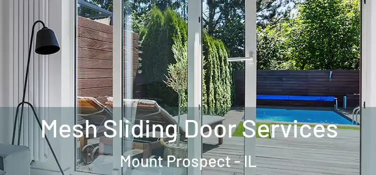 Mesh Sliding Door Services Mount Prospect - IL