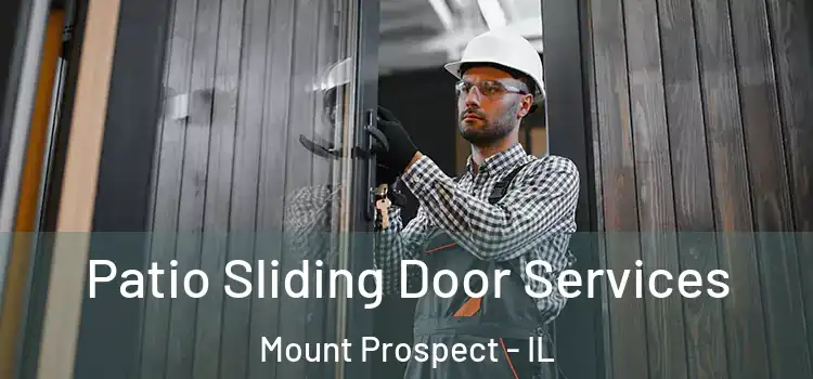  Patio Sliding Door Services Mount Prospect - IL