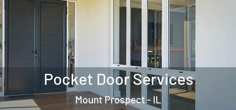 Pocket Door Services Mount Prospect - IL