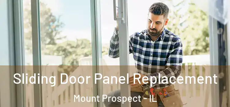  Sliding Door Panel Replacement Mount Prospect - IL