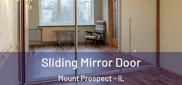  Sliding Mirror Door Mount Prospect - IL